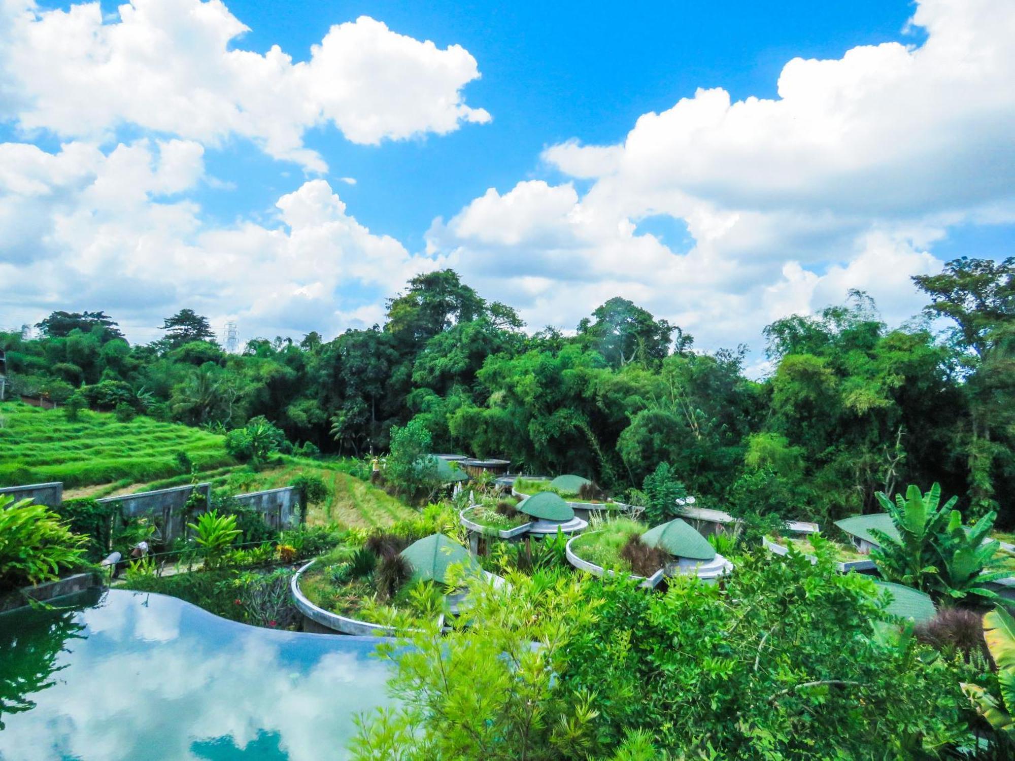 De Moksha Eco Friendly Boutique Resort Tanah Lot Стая снимка
