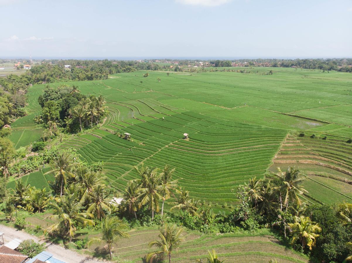 De Moksha Eco Friendly Boutique Resort Tanah Lot Екстериор снимка